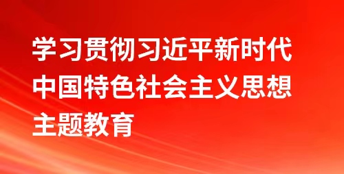 學(xué)習(xí)貫徹習(xí)近平新時(shí)代中國(guó)特色社會(huì)主義思想主題教育