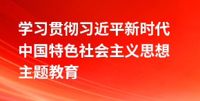 學(xué)習(xí)貫徹習(xí)近平新時(shí)代中國特色社會(huì)主義思想主題教育