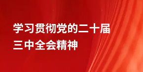 學(xué)習(xí)貫徹黨的二十屆三中全會(huì)精神